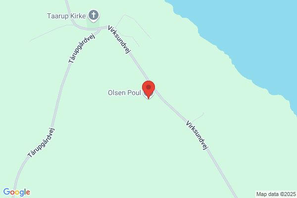 Olsen, Poul