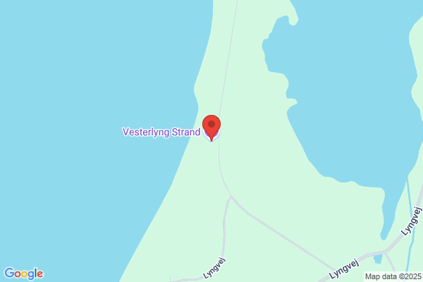 Vesterlyng, Kenneth