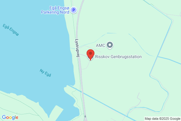 Genbrugspladsen