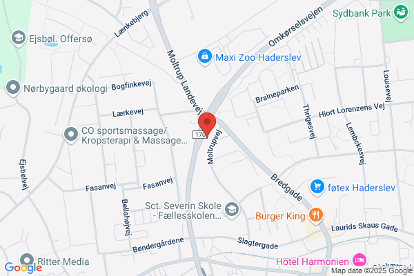Dyreklinikken