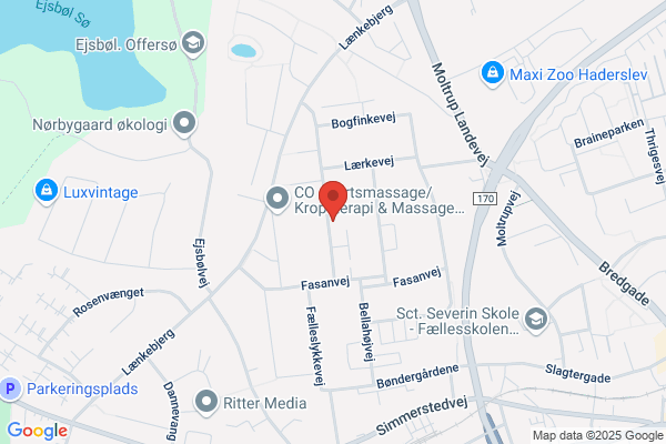 Næssets El-Service ApS