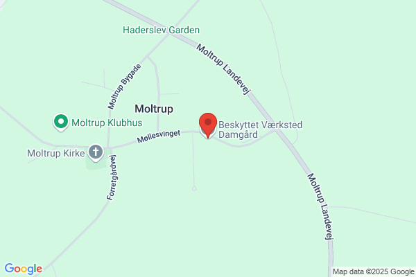 Damgård