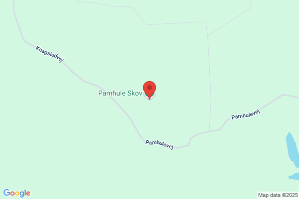 Haderslev Statsskovdistrikt, Pamhule Skovpart