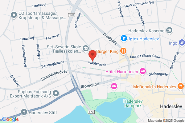 Bujinkan Sanshin Dojo Kolding
