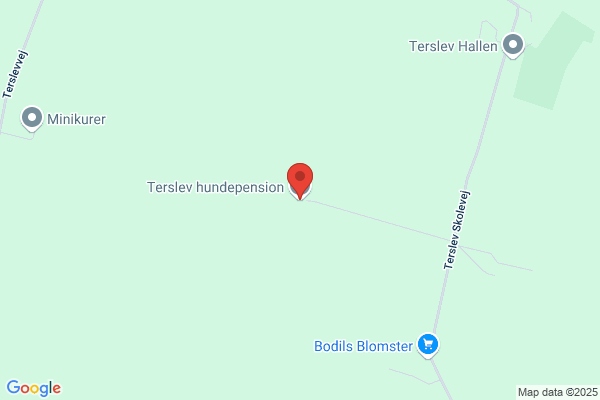 Danmarks Civile Hundeførerforening