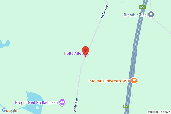Holm, Jette