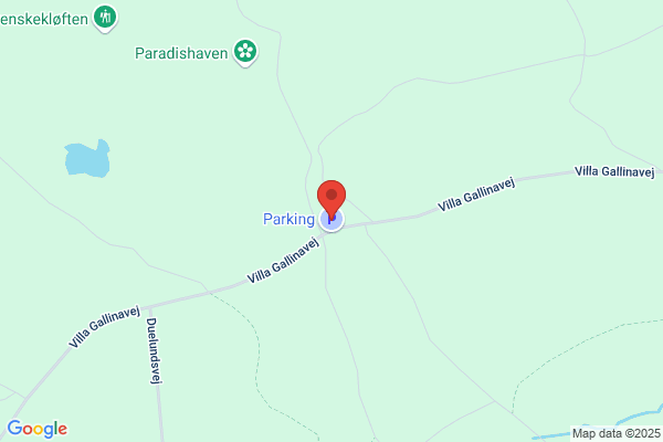 Greven, Vibeke