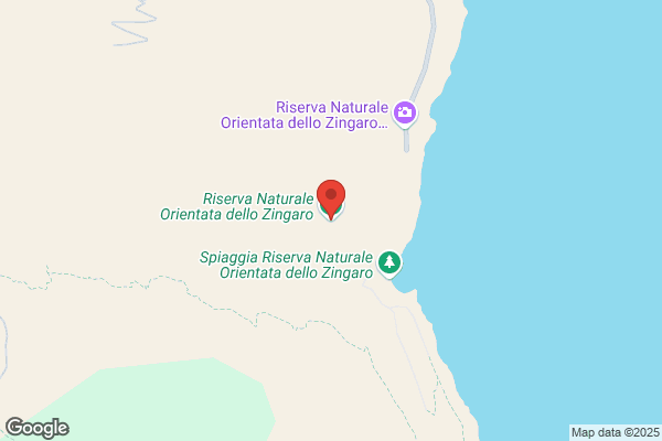 Zingaro