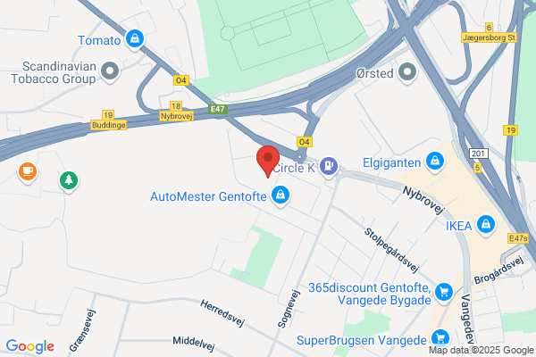 Fryd, Vibeke