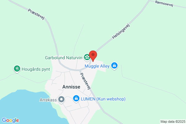 Annisse Ældreklub