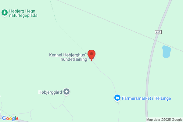 Arrekær Kennel