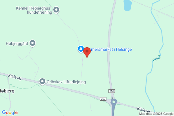 Kjeld Hedrich