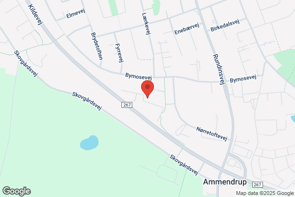 Zwicky, Jens