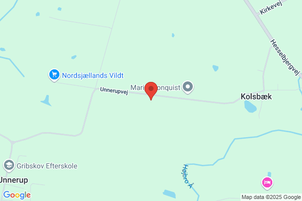 Småbørnskonsulent