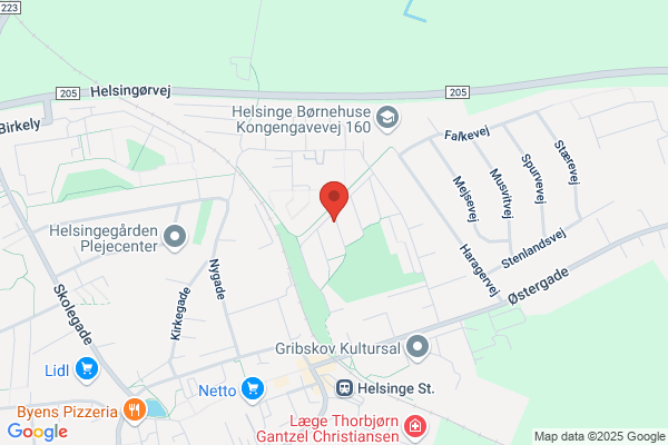 Kongensgave, Ejerforeningen