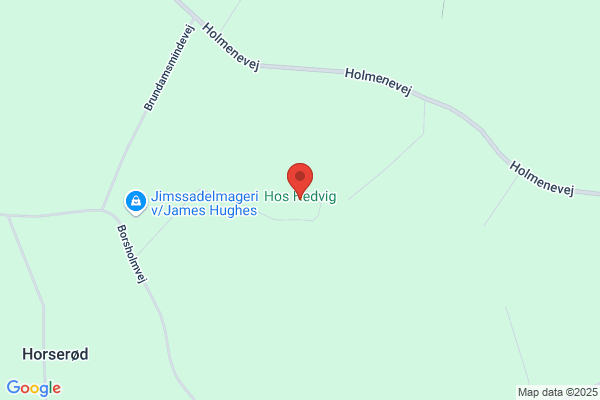 Hedvigs hundeshop og træning