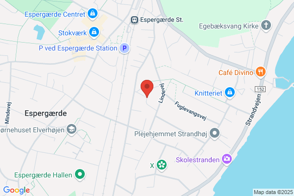Helsingør Fluefisker Forening