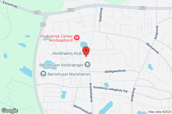 Abildtræets Fritidshjem