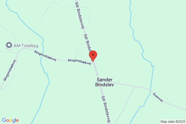 Bindslev, Jan