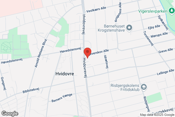 H.J. Auto ApS (v/E. Jespersen)
