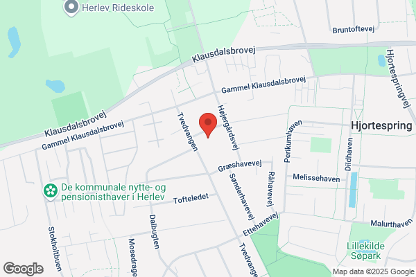 Olsen, Jette