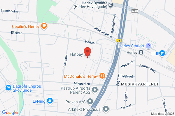 Mms & Linsoft Global I/S