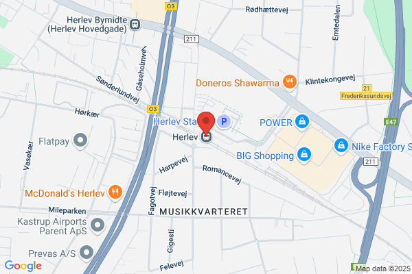 Bestyrelsen