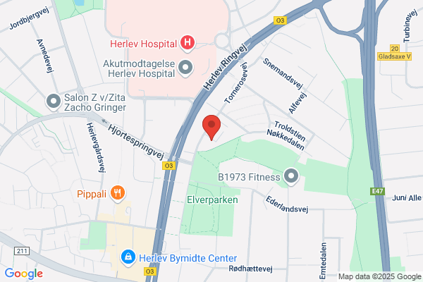 Folkedansens Værn Kgs. Lyngby
