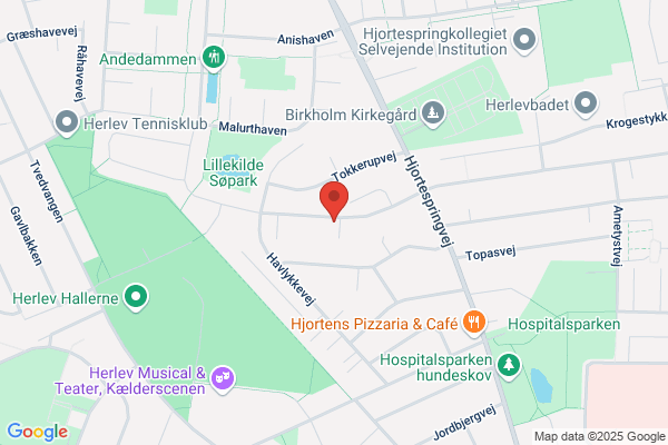 Frem's Nedrivning og Grovrengøring
