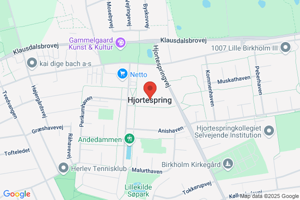 Hjortespring Blik