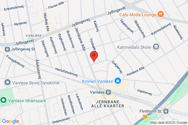Gyldne Okse, Den