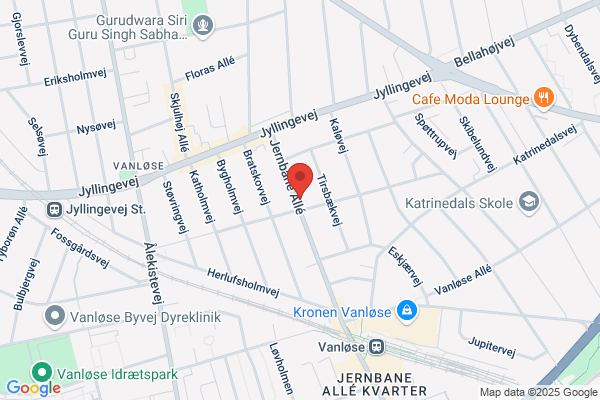 Birkmølle Sko