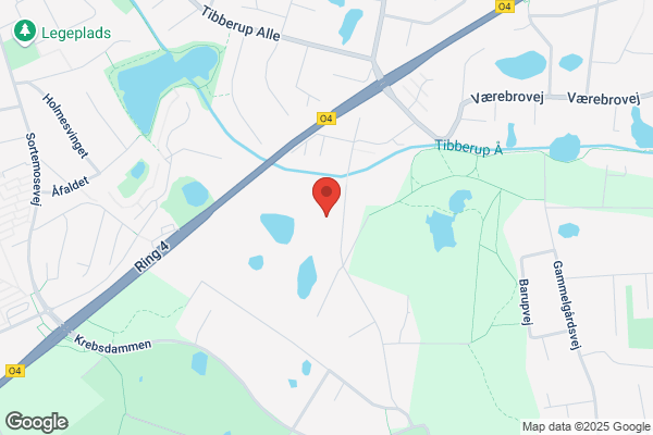 TPNetworks A/S