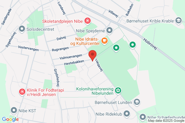 Bachhausen Flemming Tømrerfirmaet