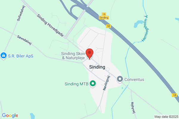 Vejlavet Skovstien