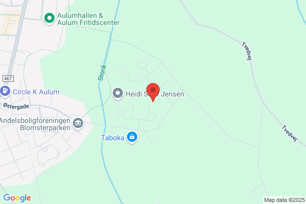 Altmuligmanden