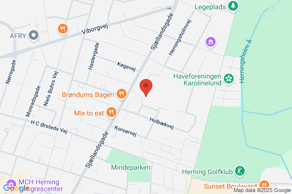 Dagplejeformidlingen i Herning Kommune