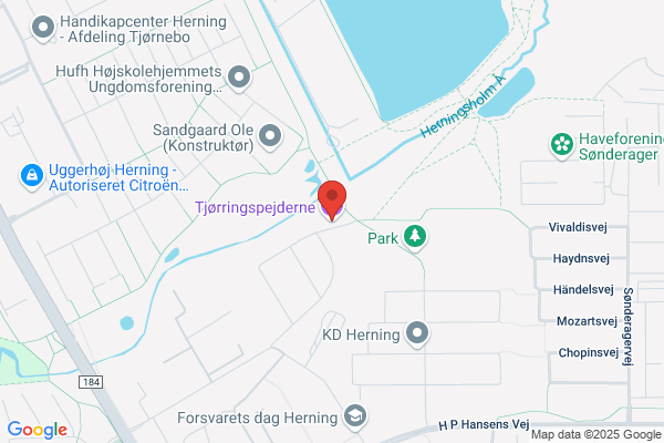DDS Tjørring Gruppe