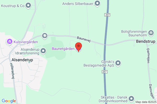 Bannebjerg - El