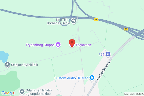 Trylleblomsten