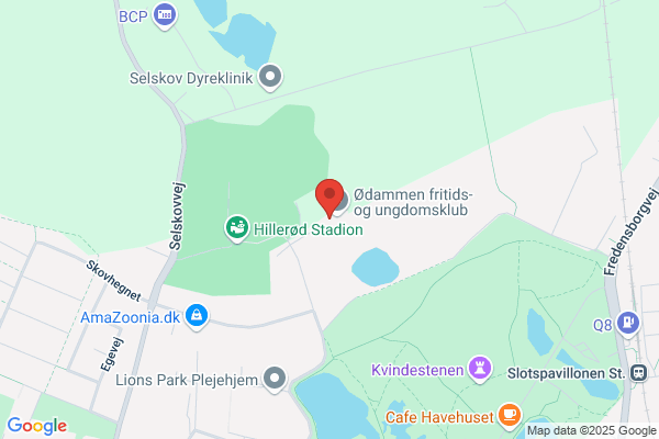 Ødammen Fritids-/ Juniorklub