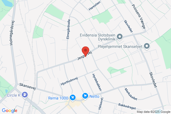 Citroënisterne i Danmark