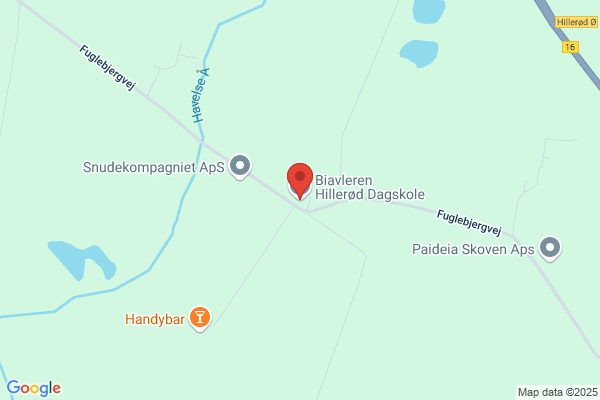 Galebevægelsen