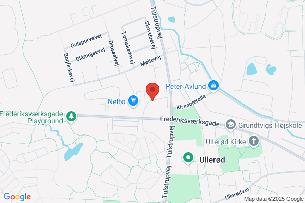 Slotsbio's Venner, Foreningen