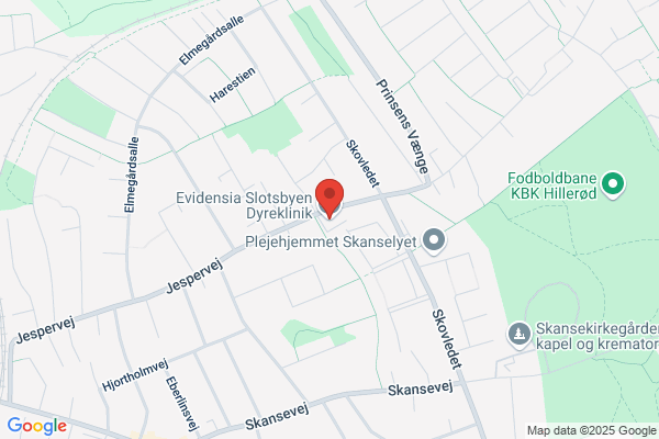Slotsbyens Dyreklinik