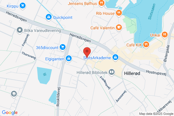 Avis Biludlejning