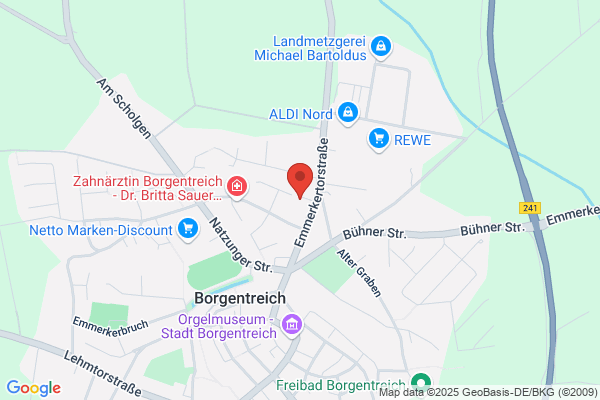 BUPL-A Fr. Borg amt
