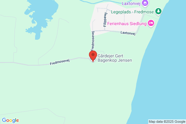 Jensen, Dag