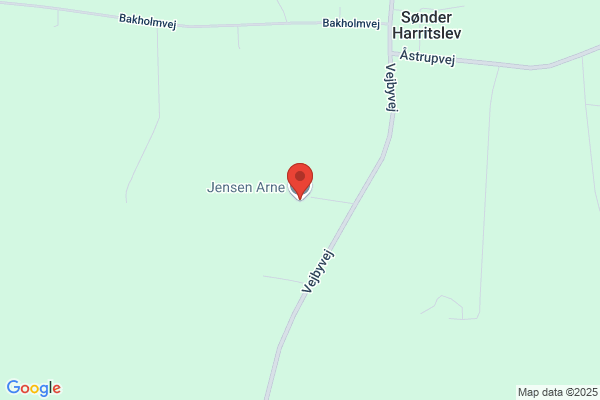 Bjerrum, Arne