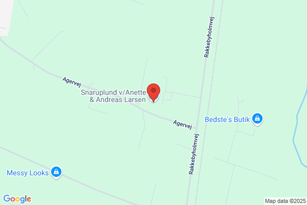 Larsen, Anders